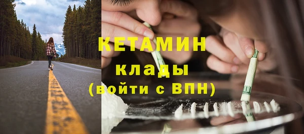 шишки Беломорск