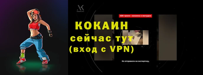 шишки Беломорск