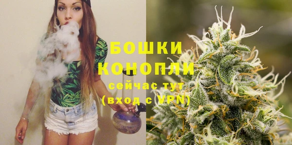 шишки Беломорск