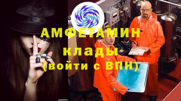 шишки Беломорск