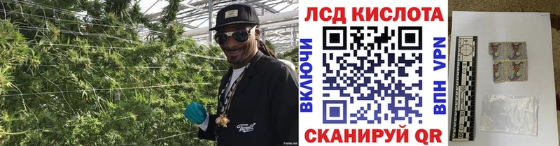 kraken зеркало  Светогорск  Марки 25I-NBOMe 1500мкг 