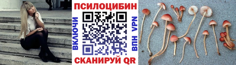 Галлюциногенные грибы ЛСД  цена наркотик  Светогорск 
